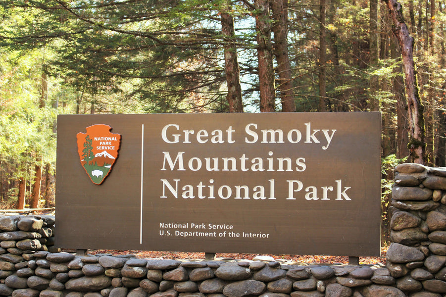 4 Activities to Enjoy in Great Smoky Mountains National Park